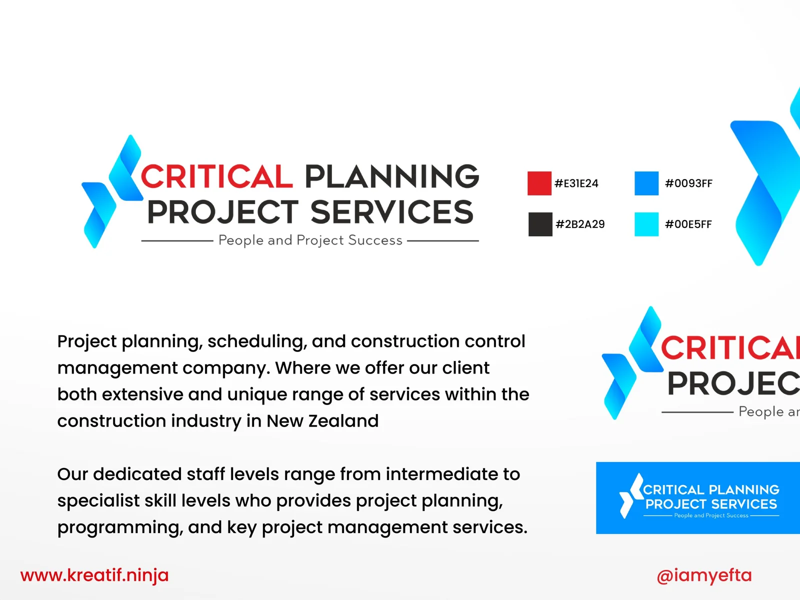 Critical Planning Project Services — image 2